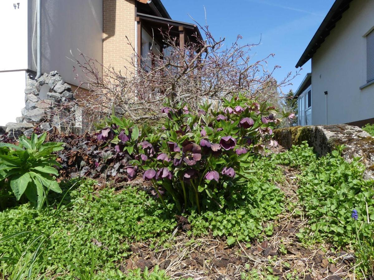 Ferienwohnung Schanbacher Oberzent Zewnętrze zdjęcie